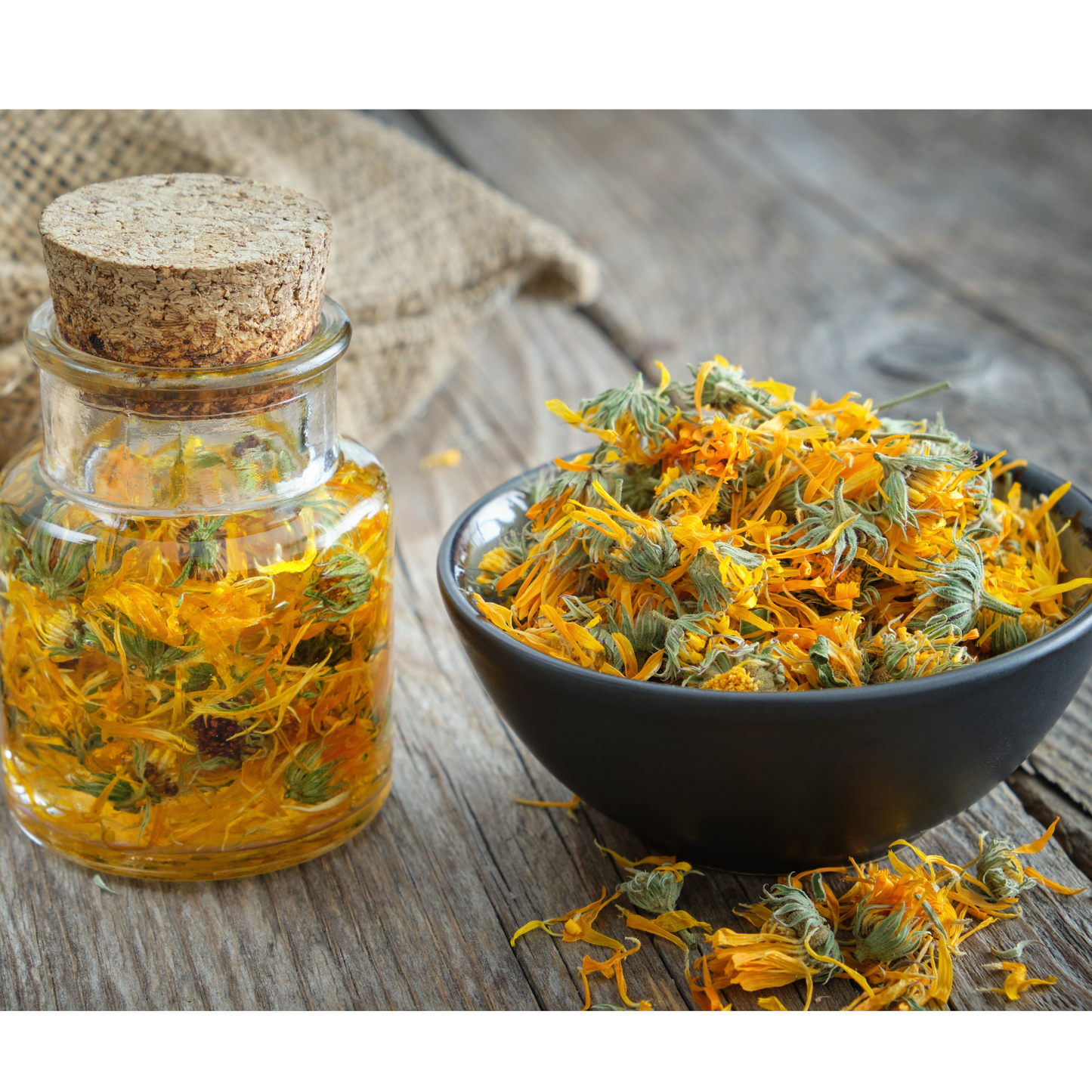 Arnica Flowers For Topical Pain Relief-11