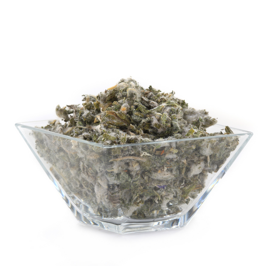 Mullein Leaf Herb For Smudging, Ritual to Cleanse and Empower the Aura-0