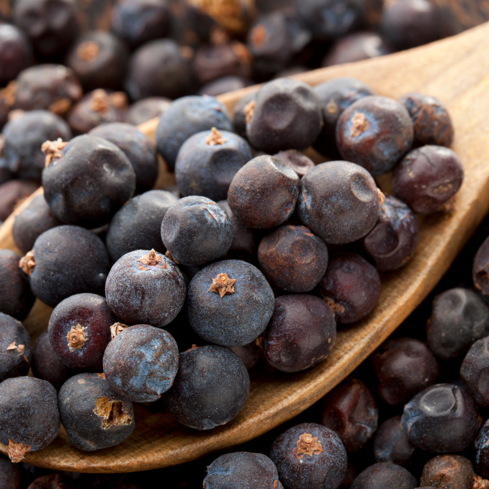 Juniper Berries For Simmer Pots, Cooking and  Rituals to Warding Off Negativity-0