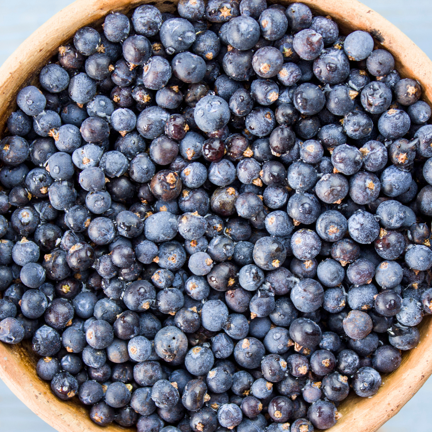 Juniper Berries For Simmer Pots, Cooking and  Rituals to Warding Off Negativity-12