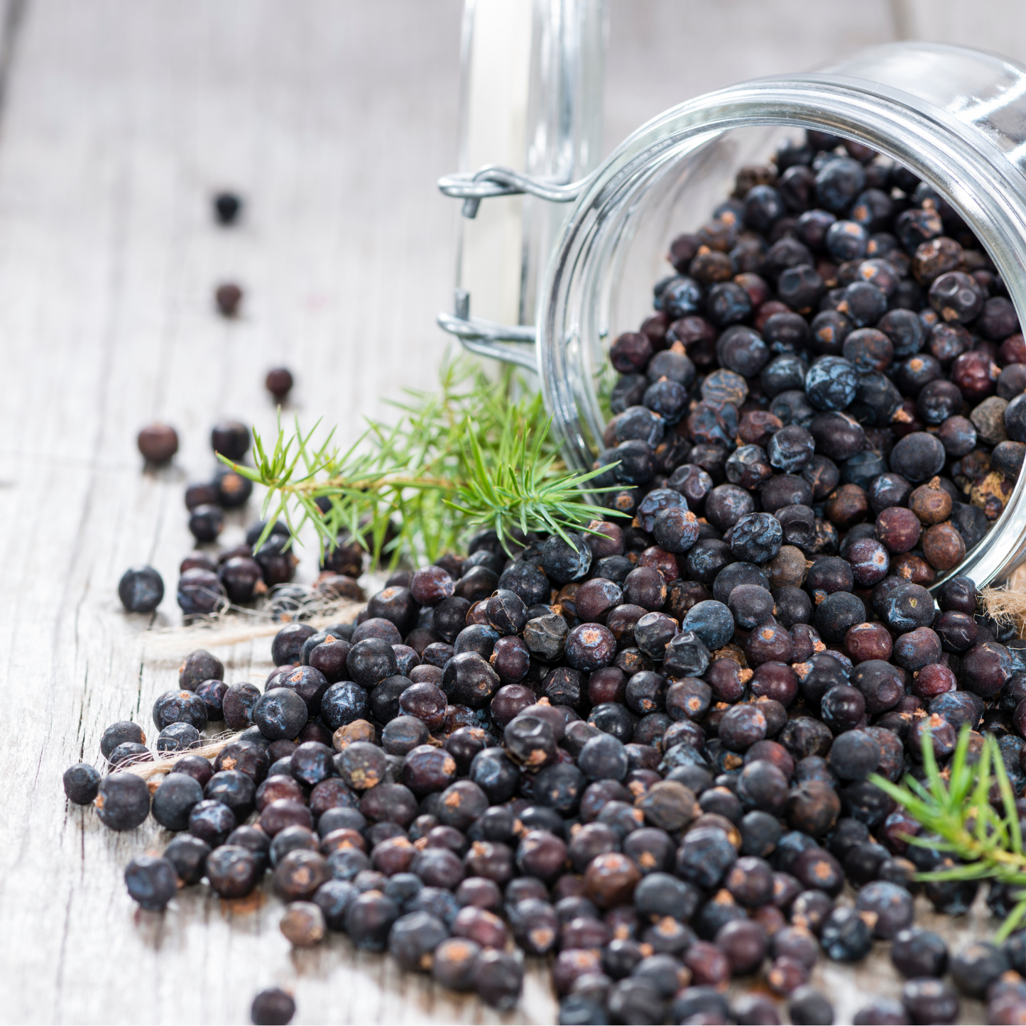 Juniper Berries For Simmer Pots, Cooking and  Rituals to Warding Off Negativity-2